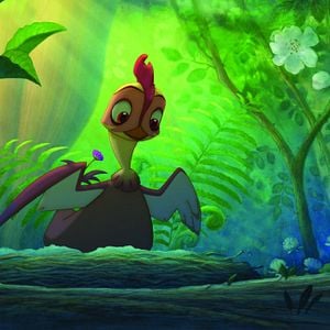 Foto Lifi – Uma Galinha na Selva