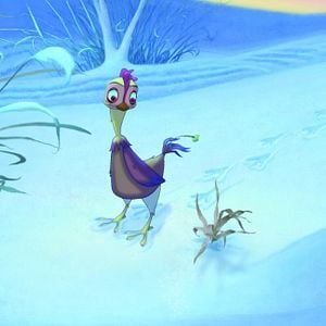 Foto Lifi – Uma Galinha na Selva