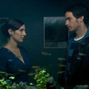 Foto A Vida dos Peixes