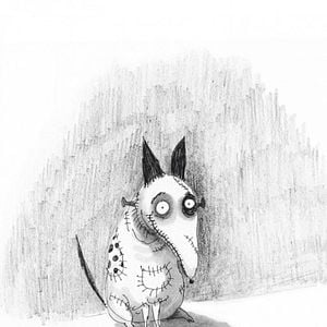 Foto Frankenweenie