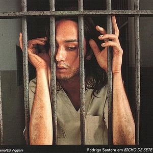 Foto Bicho de Sete Cabeças