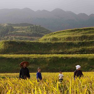 Foto A Menina dos Campos de Arroz