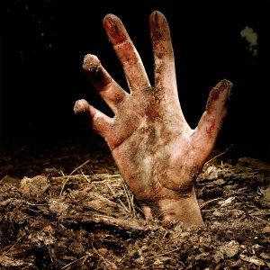 Foto A Rainha do Castelo de Ar