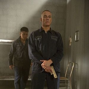 Foto Olhos de Dragão