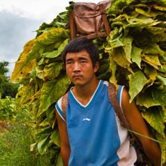 Foto China Peso-Pesado