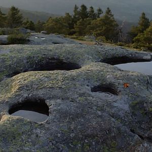 Foto Vivam os Antípodas!