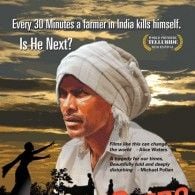 Foto Amargas Sementes