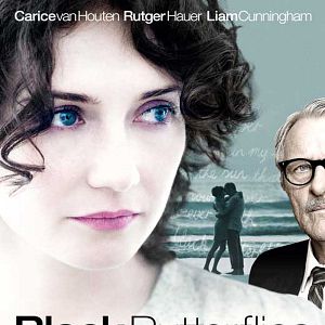 Foto Borboletas Negras