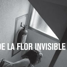 Foto O Cultivo da Flor Invisível