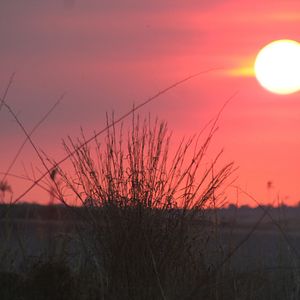 Foto Vale dos Esquecidos