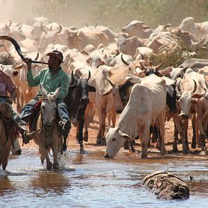 Foto Vale dos Esquecidos