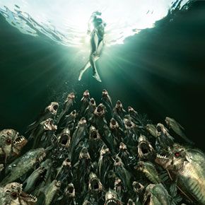 Foto Piranha 2