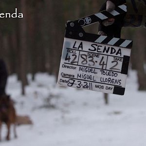 Foto O Caminho do Mal