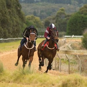 Foto Superando Limites