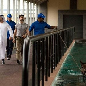 Foto Superando Limites