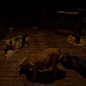 Foto Luz Depois das Trevas