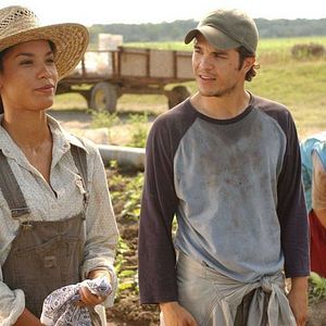 Foto Luta Pela Honra