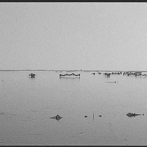 Foto Sonho e Silêncio