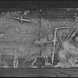 Foto Sonho e Silêncio