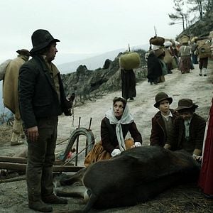 Foto Linhas de Wellington