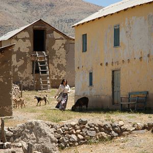 Foto Violeta Foi Para o Céu