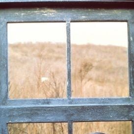 Foto Tess - Uma Lição de Vida