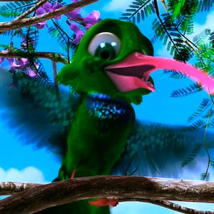 Foto Pássaros Livres - Altas Aventuras