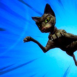 Foto Pássaros Livres - Altas Aventuras