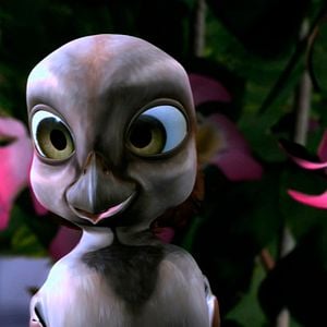 Foto Pássaros Livres - Altas Aventuras