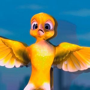 Foto Pássaros Livres - Altas Aventuras