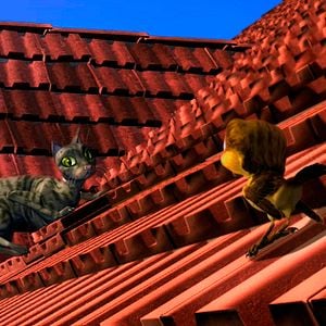 Foto Pássaros Livres - Altas Aventuras