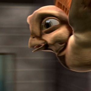 Foto Pássaros Livres - Altas Aventuras