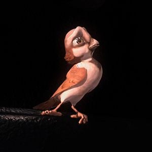 Foto Pássaros Livres - Altas Aventuras