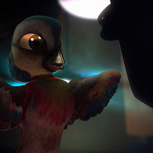 Foto Pássaros Livres - Altas Aventuras