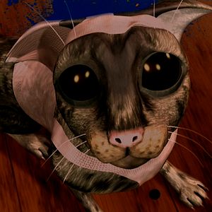 Foto Pássaros Livres - Altas Aventuras