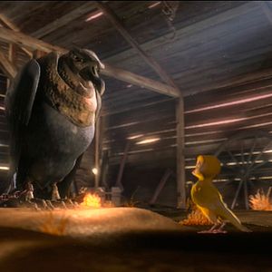 Foto Pássaros Livres - Altas Aventuras