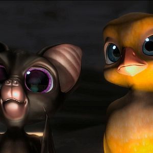 Foto Pássaros Livres - Altas Aventuras