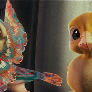 Foto Pássaros Livres - Altas Aventuras