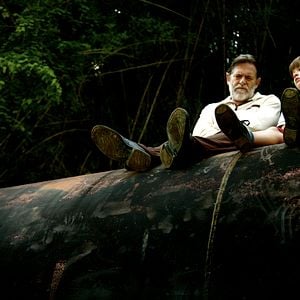 Foto Meu Pé de Laranja Lima