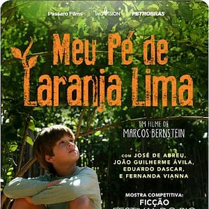 Foto Meu Pé de Laranja Lima