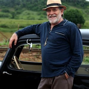 Foto Meu Pé de Laranja Lima