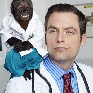 Foto Animal Practice