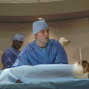 Foto Animal Practice