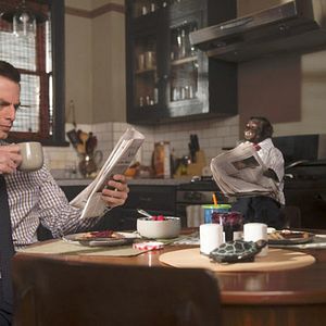 Foto Animal Practice