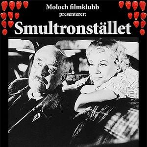 Foto Morangos Silvestres