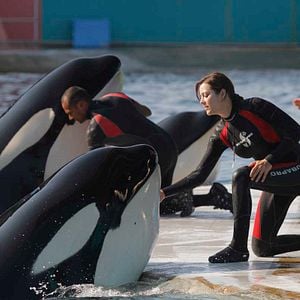 Foto Ferrugem e Osso