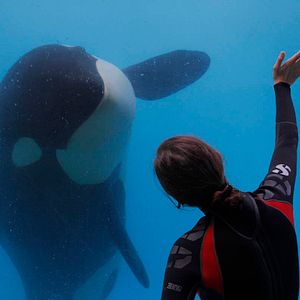 Foto Ferrugem e Osso