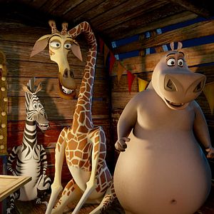 Foto Madagascar 3 - Os Procurados