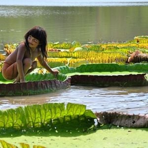 Foto Tainá - A Origem