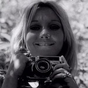 Foto Mr. Sganzerla - Os Signos da Luz